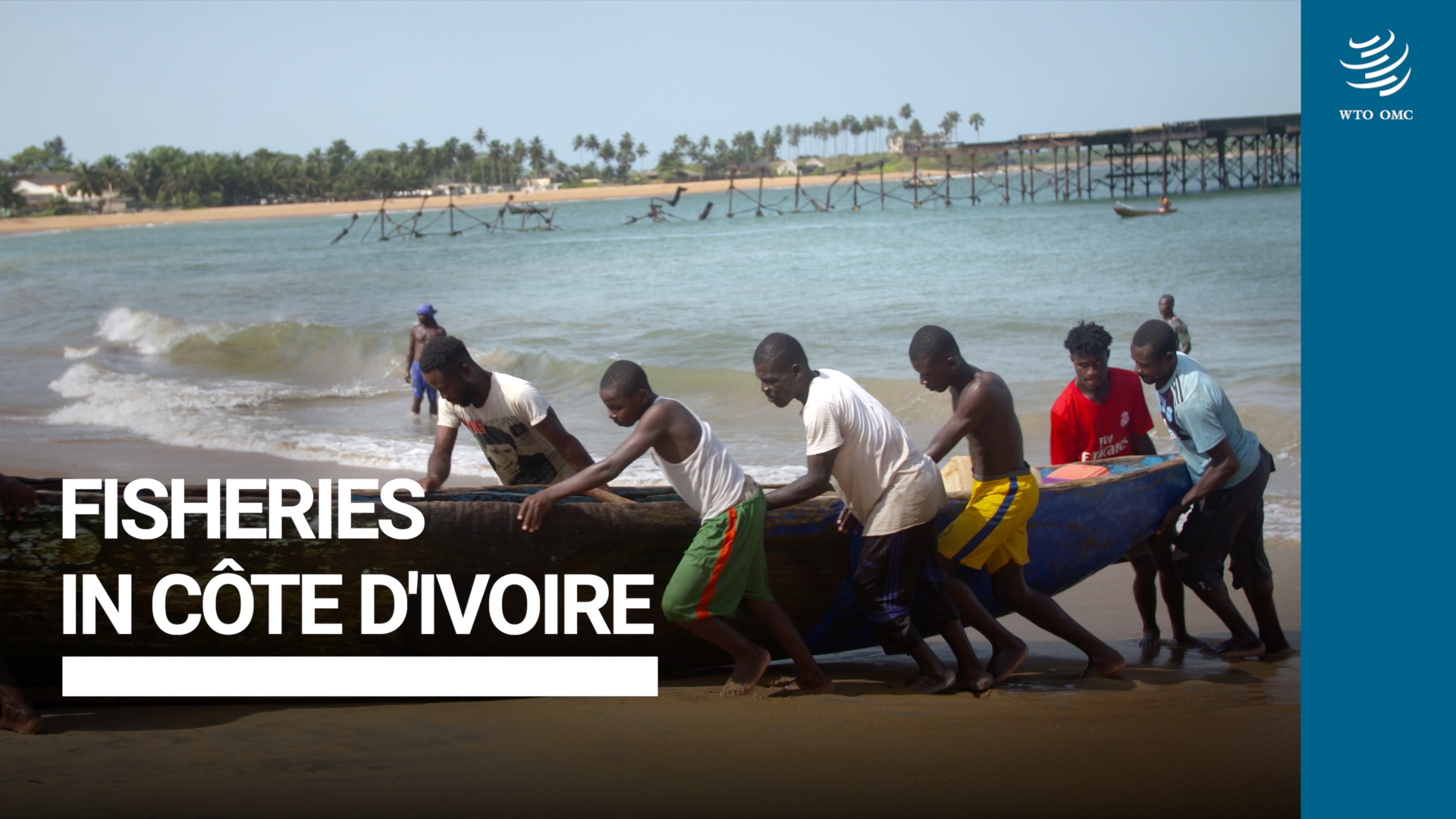 Nurturing fisheries in Cte dIvoire