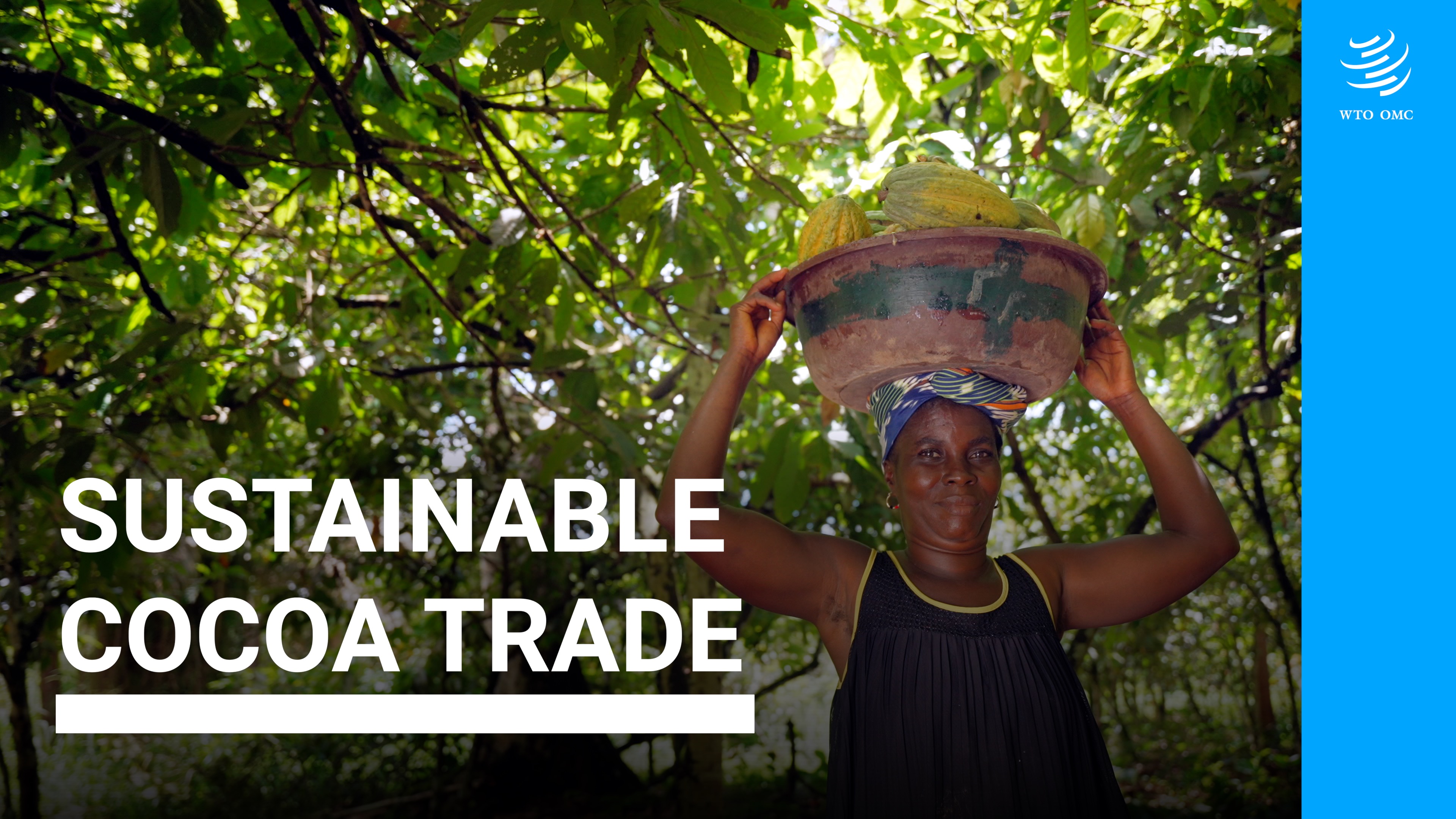More than beans: Sustainable cocoa trade